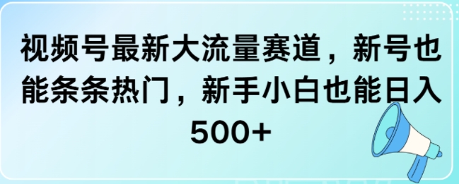 视频号最新大流量赛道，新号也能条条热门，新手小白也能日入5张-小白项目网