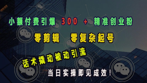 小额付费引爆 300 + 精准创业粉，零剪辑、零复杂起号，话术撬动被动引流，当日实操即见成效-小白项目网