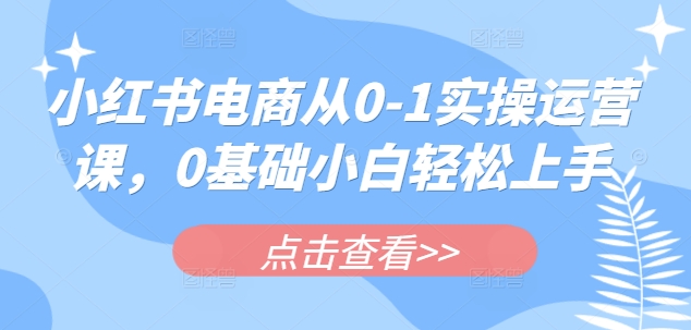 小红书电商从0-1实操运营课，0基础小白轻松上手-小白项目网