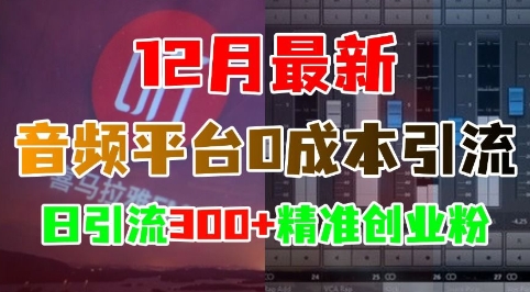 12月最新：音频平台0成本引流，日引流300+精准创业粉-小白项目网