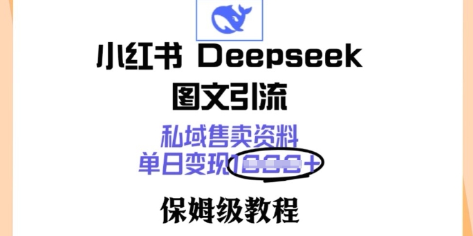 小红书Deepseek图文引流，私域售卖资料，单日变现多张，保姆级教程-小白项目网