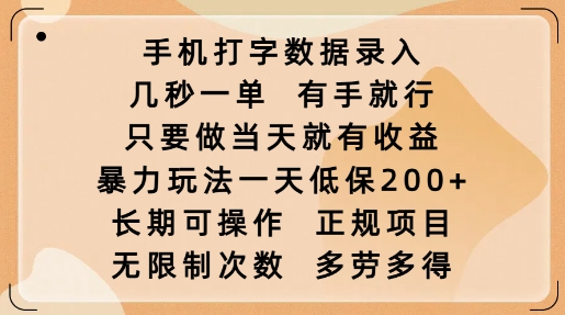 手机打字数据录入，几秒一单，有手就行，只要做当天就有收益，暴力玩法一天低保2张-小白项目网