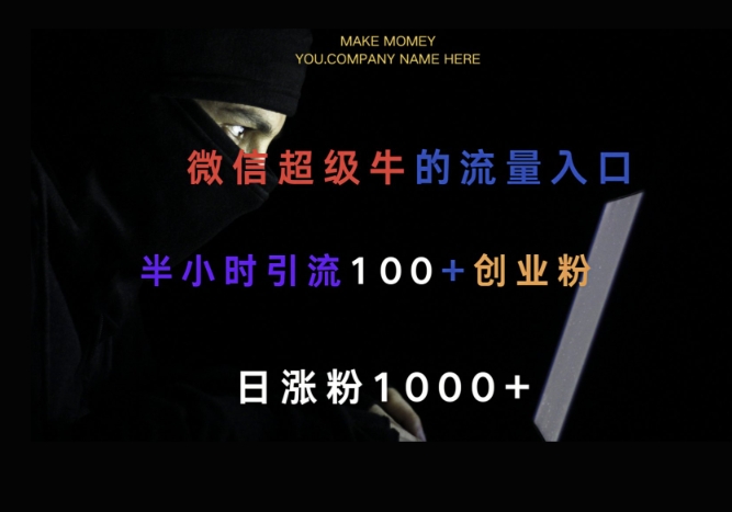 微信版知乎，一小时引流100+创业粉，日涨粉1000+-小白项目网