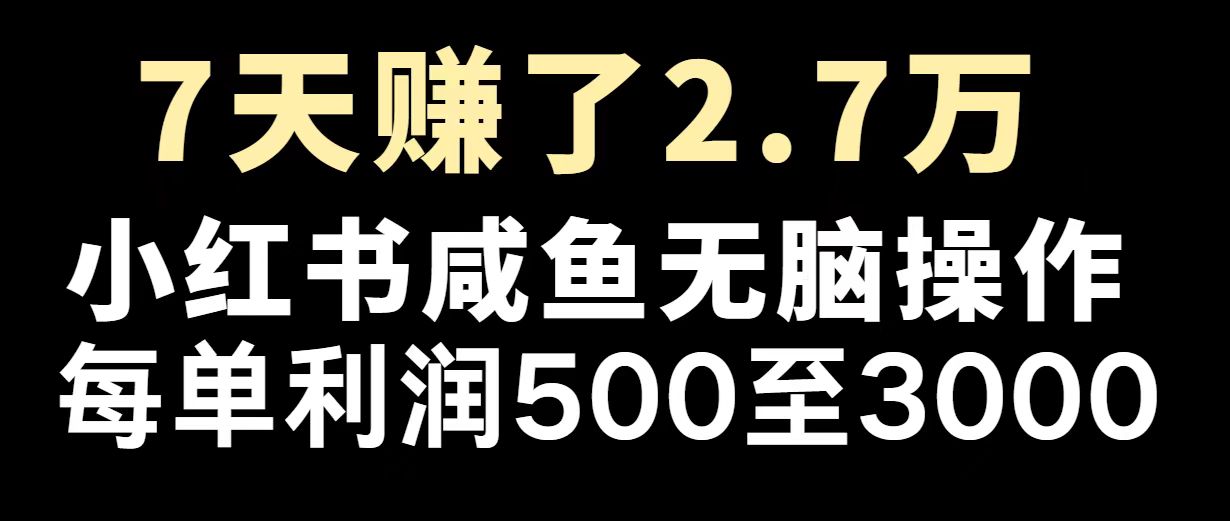 （14183期）最赚钱项目之一，2025爆火，逆风翻盘！-小白项目网