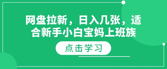 网盘拉新，日入几张，适合新手小白宝妈上班族-小白项目网