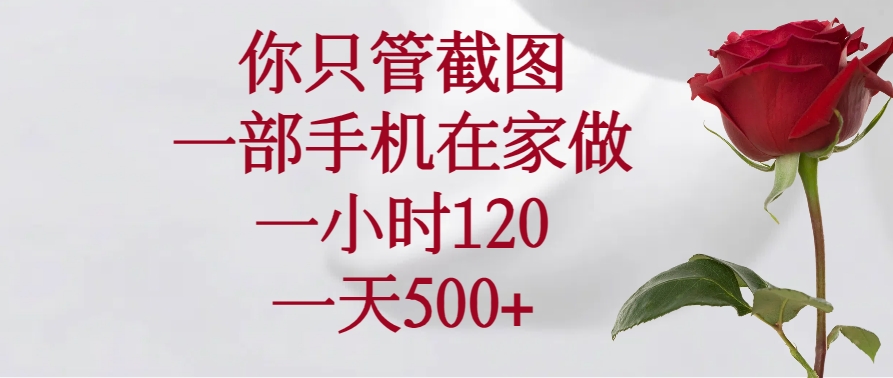 （14248期）你只管截图，一部手机在家做，一小时120，一天500+-小白项目网