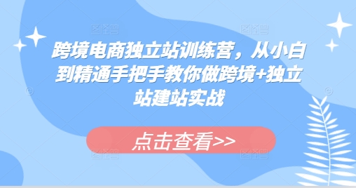 跨境电商独立站训练营，从小白到精通手把手教你做跨境+独立站建站实战-小白项目网