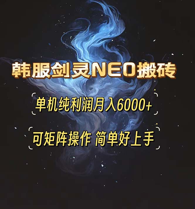 （13435期）韩服剑灵NEO搬砖攻略，单机纯利润月入6000+ 可矩阵操作，简单好上手。-小白项目网