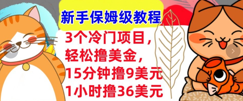 3个冷门项目，轻松撸美刀，1小时撸36刀，新手保姆级教程-小白项目网