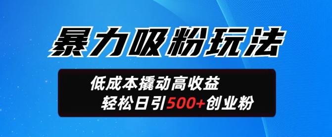 暴力吸粉玩法，日引500+精准创业粉，日变现轻松多张-小白项目网