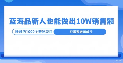 这个蓝海品，新号也能卖出10W的销售额，年底疯狂怼量就能出结果-小白项目网