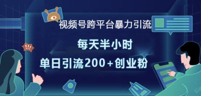 视频号跨平台暴力引流，每天半小时，单日引流200+精准创业粉-小白项目网