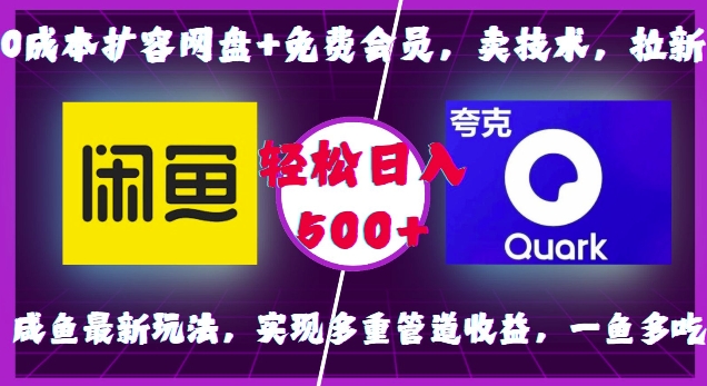 0成本扩容网盘+免费会员，卖技术，拉新，咸鱼最新玩法，实现多重管道收益，一鱼多吃，轻松日入500+-小白项目网