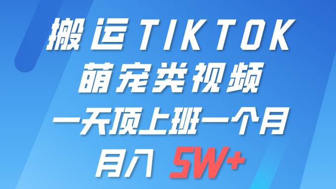 一键搬运TIKTOK萌宠类视频 一部手机即可操作 所有平台均可发布 轻松月入5W+-小白项目网