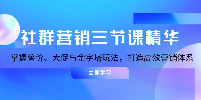 （13431期）社群营销三节课精华：掌握叠价、大促与金字塔玩法，打造高效营销体系-小白项目网