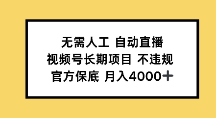 无需人工自动直播，视频号长期项目不违规，官方保底月入4000左右-小白项目网