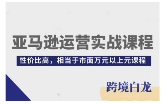 亚马逊运营实战课程，亚马逊从入门到精通，性价比高，相当于市面万元以上元课程-小白项目网