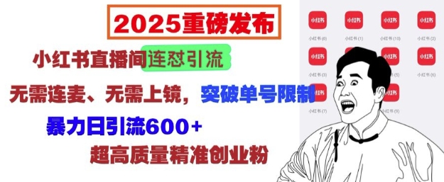 2025重磅发布：小红书直播间连怼引流，无需连麦、无需上镜，突破单号限制，暴力日引流600+-小白项目网