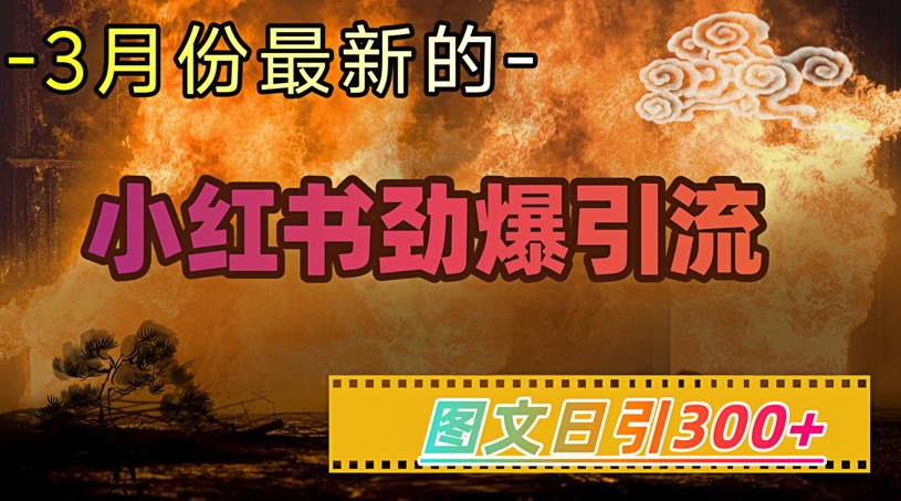 小红书超劲爆引流手段，图文日引300+轻松变现1W-小白项目网