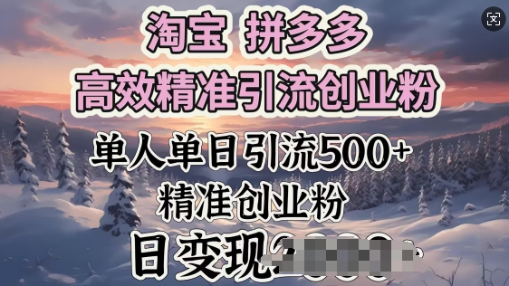 淘宝拼多多高效精准引流创业粉，单人单日引流500+创业粉，日变现多张-小白项目网