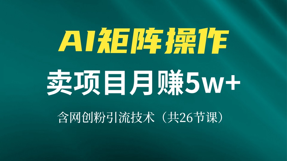 （13335期）网创IP打造课，借助AI卖项目月赚5万+，含引流技术（共26节课）-小白项目网