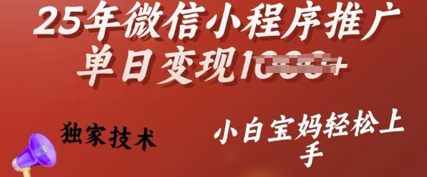 25年微信小程序推广单日变现多张，独家技术，小白宝妈轻松上手【揭秘】-小白项目网