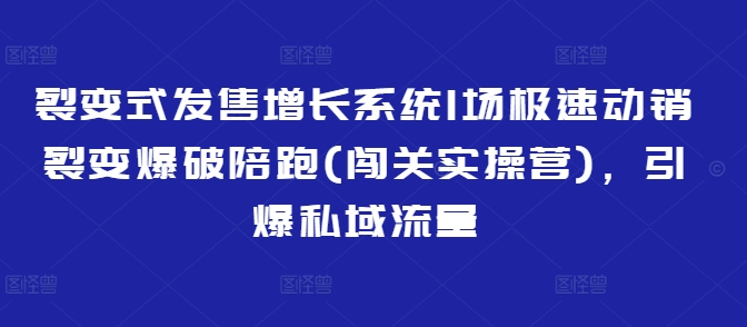 裂变式发售增长系统1场极速动销裂变爆破陪跑(闯关实操营)，引爆私域流量-小白项目网