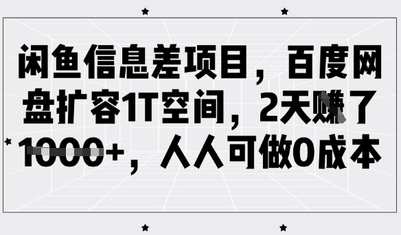 闲鱼信息差项目，百度网盘扩容1T空间，2天收益1k+，人人可做0成本-小白项目网