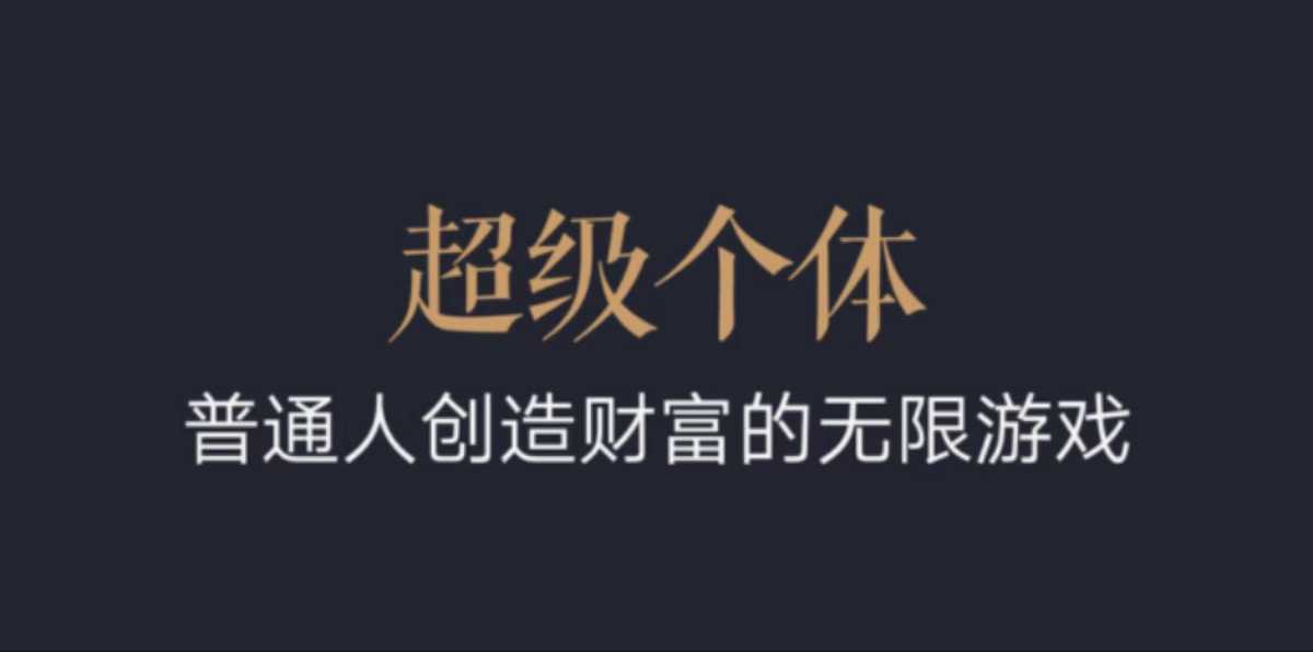 超级个体：2024-2025翻盘指南，普通人创造财富的无限游戏-小白项目网