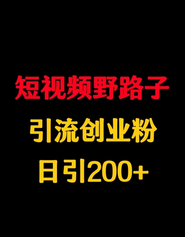 短视频野路子引流创业粉，日引200+-小白项目网