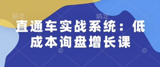 直通车实战系统：低成本询盘增长课，让个人通过技能实现升职加薪，让企业低成本获客，订单源源不断-小白项目网