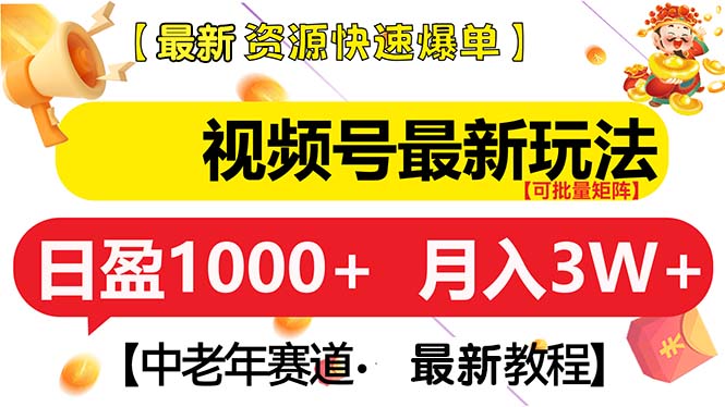 （13530期）视频号最新玩法 中老年赛道 月入3W+-小白项目网