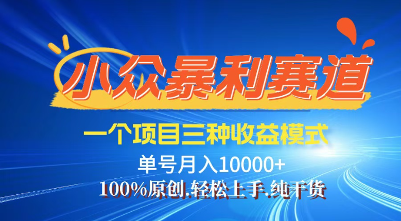 （14300期）【灵狐计划】视频号最新爆火赛道，三种收益模式，0粉新号条条热门原创…-小白项目网