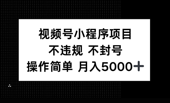 视频号小程序项目，不违规不封号，操作简单 月入5000+-小白项目网