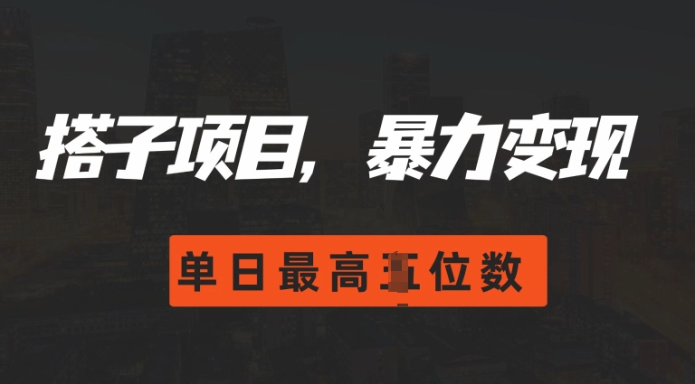 2024搭子玩法，0门槛，暴力变现，单日最高破四位数【揭秘】-小白项目网