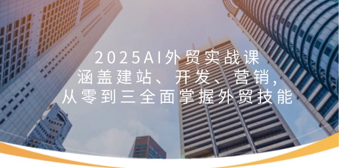 （14135期）2025AI外贸实战课：涵盖建站、开发、营销, 从零到三全面掌握外贸技能-小白项目网