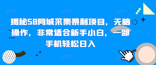 揭秘58同城采集暴利项目，无脑操作，非常适合新手小白，一部手机轻松日入-小白项目网