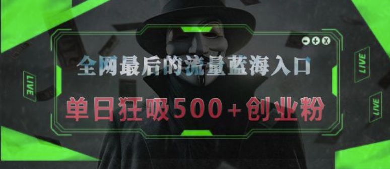 全网最后的流量蓝海入口，半小时引流50+创业粉，单日狂吸500+创业粉-小白项目网