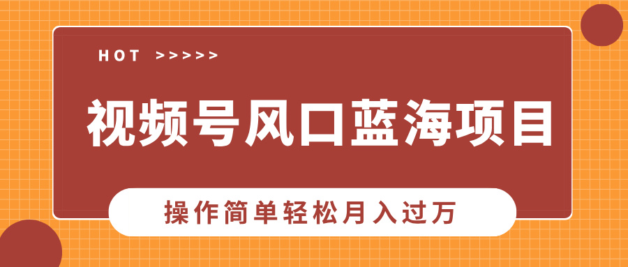 视频号风口蓝海项目，中老年人的流量密码，操作简单轻松月入过W-小白项目网