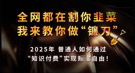 知识付费如何做到月入过W+，2025我来教你做“镰刀”【揭秘】-小白项目网