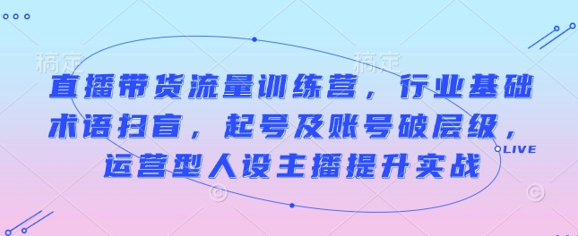 直播带货流量训练营，行业基础术语扫盲，起号及账号破层级，运营型人设主播提升实战-小白项目网