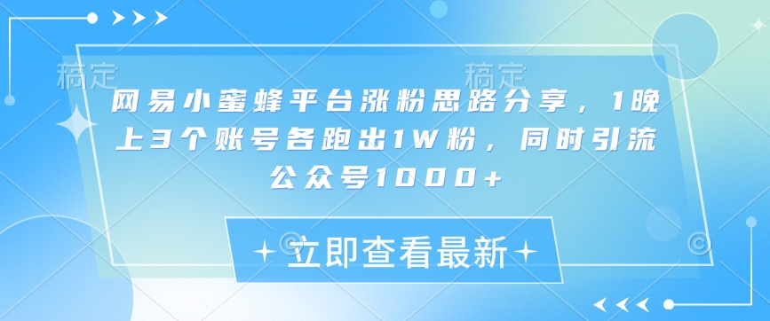 网易小蜜蜂平台涨粉思路分享，1晚上3个账号各跑出1W粉，同时引流公众号1000+-小白项目网