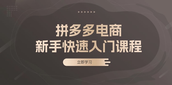 （13289期）拼多多电商新手快速入门课程：涵盖基础、实战与选款，助力小白轻松上手-小白项目网