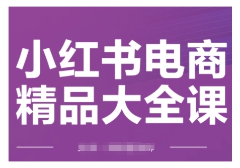 小红书电商精品大全课，快速掌握小红书运营技巧，实现精准引流与爆单目标，轻松玩转小红书电商-小白项目网