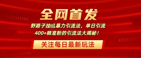 全网首发，野路子暴力引流法，单日引流400+精准粉的引流法大揭秘-小白项目网