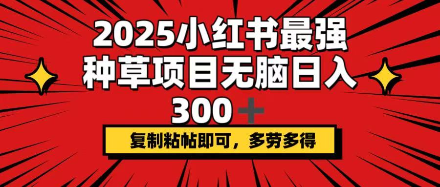 （14375期）2025小红书最强种草项目，无脑日入300+，复制粘帖即可，多劳多得-小白项目网