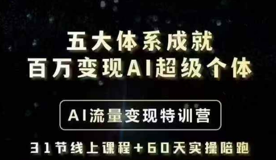 五大体系成就百万变现AI超级个体- AI流量变现特训营，一步一步教你一个人怎么年入百W-小白项目网