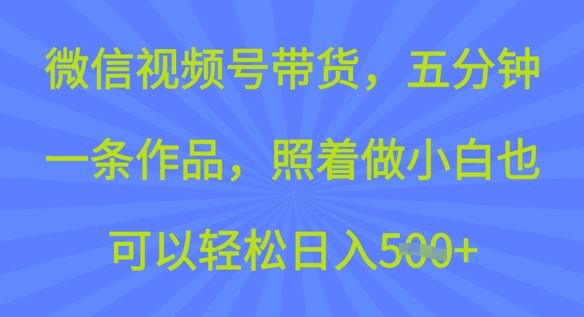 微信视频号带货，五分钟一条作品，照着做小白也可以轻松日入5张-小白项目网