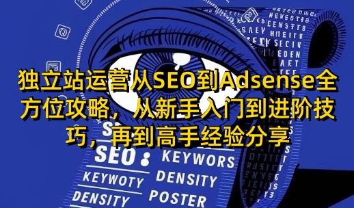 独立站运营从SEO到Adsense全方位攻略，从新手入门到进阶技巧，再到高手经验分享-小白项目网