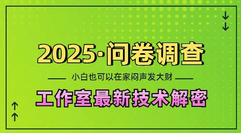 2025问卷调查最新工作室技术解密：一个人在家也可以闷声发大财，小白一天2张，可矩阵放大【揭秘】-小白项目网